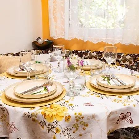 Excellent Center Location 'bear's Den' Apartment