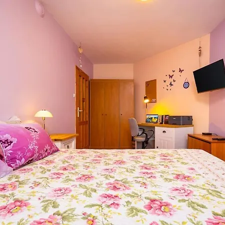 Excellent Center Location 'bear's Den' Apartment *