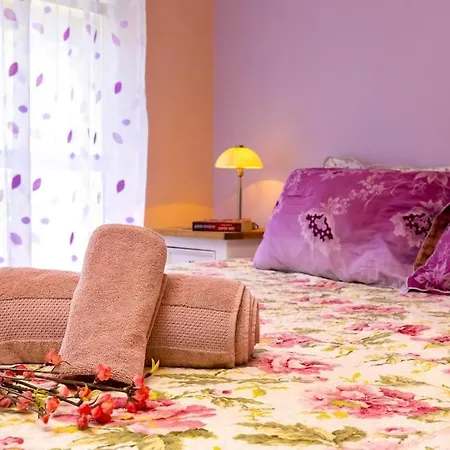 Apartment Excellent Center Location 'bear's Den'